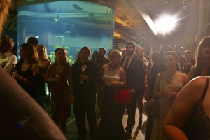 Waterkeeper Water Ball