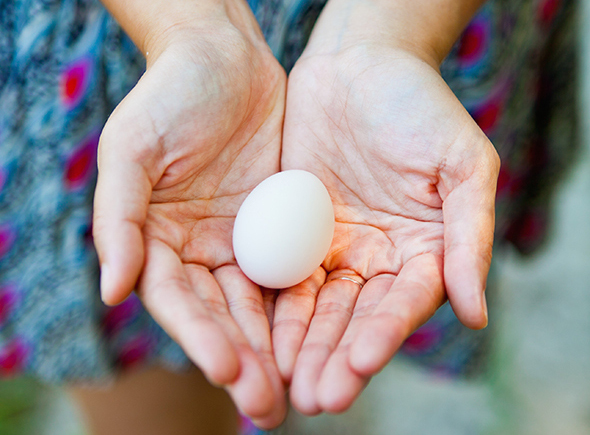 by Angel Passailaigue Postell | photos by Karson Photography, Sean Brock photo by Andrea Behrends