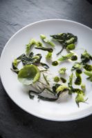 Chef Greg Garrison Prohibition Fish