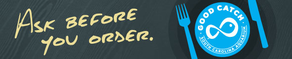 JULY_AskBeforeYouOrder_ART-MAG_590x120