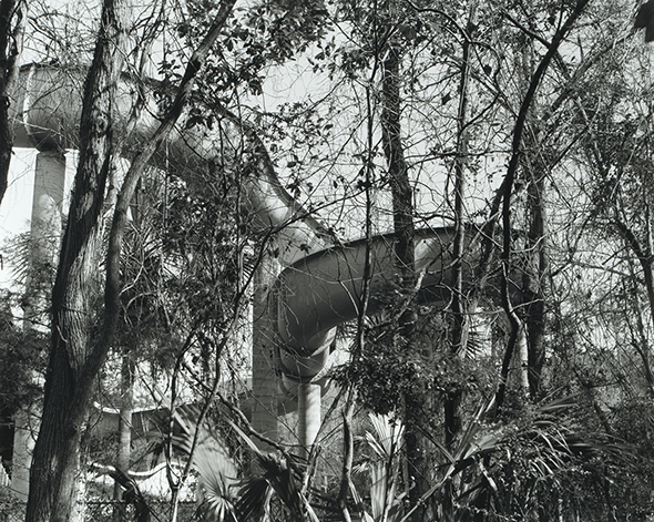 Jungle Slide, Michelle Van Parys